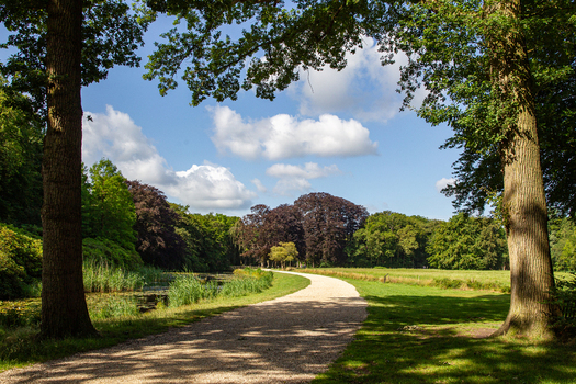 View of a winding gravel path through the lush estate parkland of Castle Groeneveld with mature trees and a pond in Baarn Utrecht Netherlands.