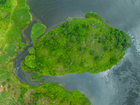 Aerial view of a lush green island nestled along the mighty River Nile with dense vegetation and calm waters surrounding the landmass in Jinja Eastern Region Uganda.