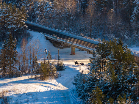 Aerial view of a bridge over a snowy path with two horse riders surrounded by frost covered pine trees in Lithuania. Aerial view of a bridge over a snowy path with two horse riders surrounded by frost covered pine trees in Lithuania.