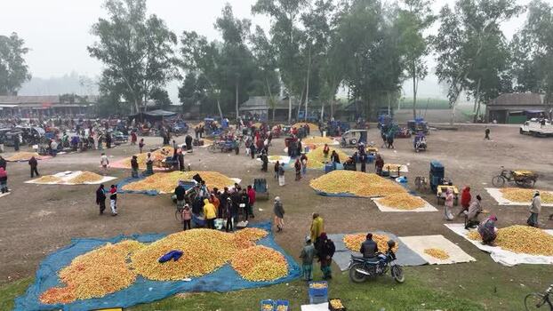 Aerial view of a busy outdoor produce market in Bogura Bangladesh.