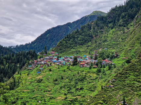 View of the historic village of Malana nestled on a lush green mountain slope surrounded by dense pine forests under a cloudy sky in Malana Himachal Pradesh India.