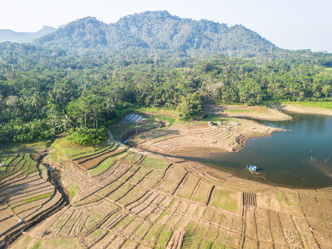 Aerial view of terraced rice fields near the Wadaslintang Reservoir surrounded by lush tropical forests and distant mountains in Wadaslintang Central Java Indonesia. Aerial view of terraced rice fields near the Wadaslintang Reservoir surrounded by lush tropical forests and distant mountains in Wadaslintang Central Java Indonesia.