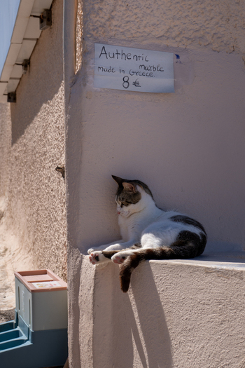View of a white and tabby cat resting on a sunlit stone ledge next to a handwritten sign for marble souvenirs in Fira Greece. View of a white and tabby cat resting on a sunlit stone ledge next to a handwritten sign for marble souvenirs in Fira Greece.