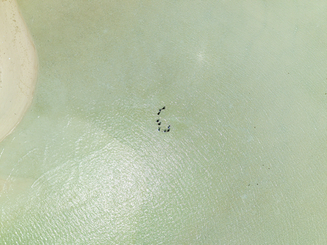 Aerial view of the serene shallow turquoise waters surrounding a small island with a pristine sandy beach Karimunjawa Central Java Indonesia.