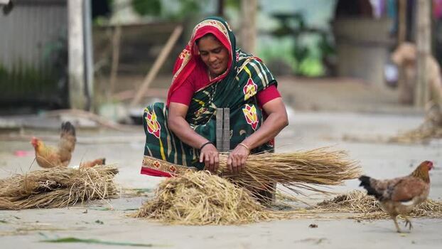 View of a woman processing rice straw in a rural village Bangladesh. View of a woman processing rice straw in a rural village Bangladesh.