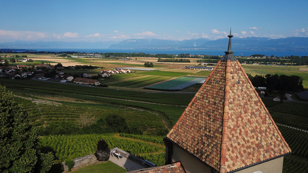 Aerial view of the historic church tower overlooking lush green vineyards and Lake Geneva under a clear blue sky in Luins Vaud Switzerland. Aerial view of the historic church tower overlooking lush green vineyards and Lake Geneva under a clear blue sky in Luins Vaud Switzerland.
