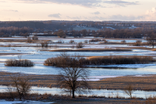 View of the Biebrza river valley with wetlands patches of ice and bare trees in Podlaskie Voivodeship Poland.