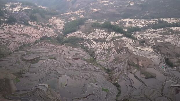 Aerial view of rice terraces in Yuanyang China.