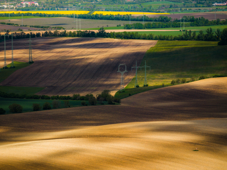Aerial view of rolling agricultural fields with patches of yellow crops and brown soil crossed by power lines under soft sunlight in Brno South Moravian Region Czechia.