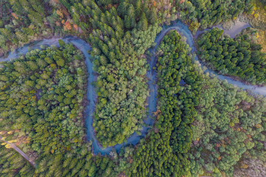 Aerial view of a winding river flowing through a dense forest with autumn foliage in Andalsnes More og Romsdal Norway.