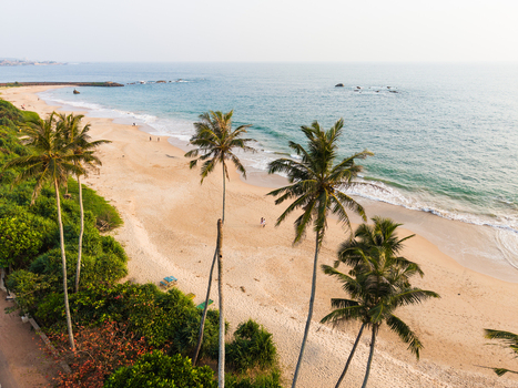 Aerial view of a tropical beach with golden sand tall palm trees and turquoise ocean waves under a clear sky Galle Southern Province Sri Lanka.