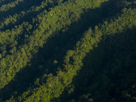 Aerial view of dense tropical forest covering the steep slopes of Mount Merapi with dramatic shadows and morning light Kecamatan Pakem Daerah Istimewa Yogya Indonesia. Aerial view of dense tropical forest covering the steep slopes of Mount Merapi with dramatic shadows and morning light Kecamatan Pakem Daerah Istimewa Yogya Indonesia.