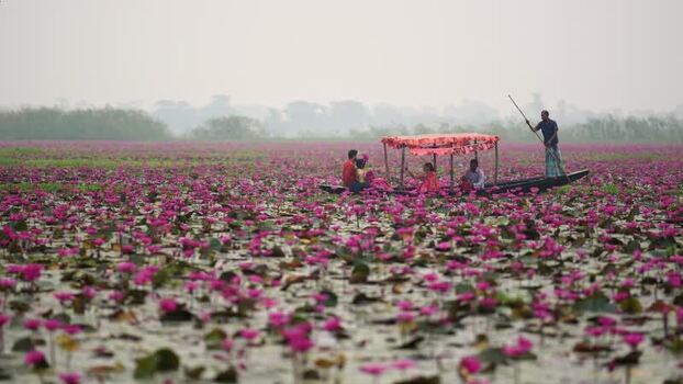 View of people in a boat on a water lily pond Bangladesh. View of people in a boat on a water lily pond Bangladesh.