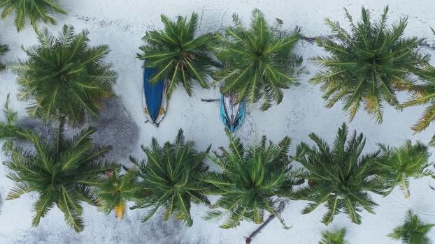 Aerial view of palm trees and boats on white sand Maldives. Aerial view of palm trees and boats on white sand Maldives.