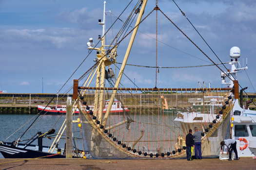 Den Oever Netherlands 18 May 2026 View of a fishing boat with nets and fishermen working at the Vissershaven harbor under a blue sky. Den Oever Netherlands 18 May 2026 View of a fishing boat with nets and fishermen working at the Vissershaven harbor under a blue sky.