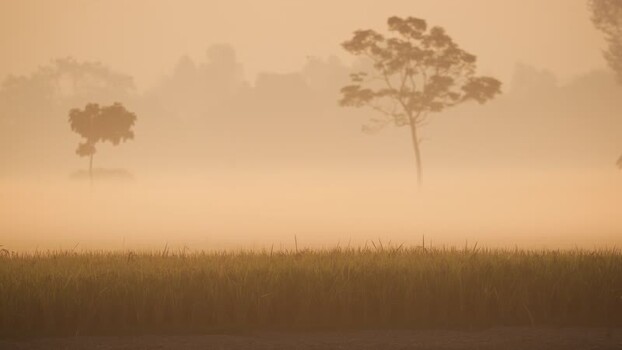 View of misty rural landscape at sunrise in Bogura Bangladesh. View of misty rural landscape at sunrise in Bogura Bangladesh.