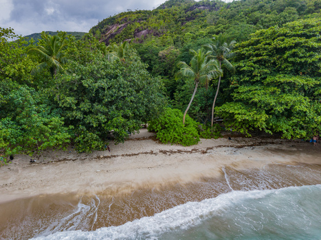 Aerial view of the beach where the lush greenery meets the sandy shore and turquoise waters Montagne Jasmin Mahe Island Seychelles. Aerial view of the beach where the lush greenery meets the sandy shore and turquoise waters Montagne Jasmin Mahe Island Seychelles.