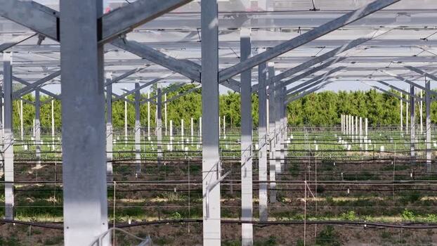 Aerial view of orchard netting system in Faenza Italy.