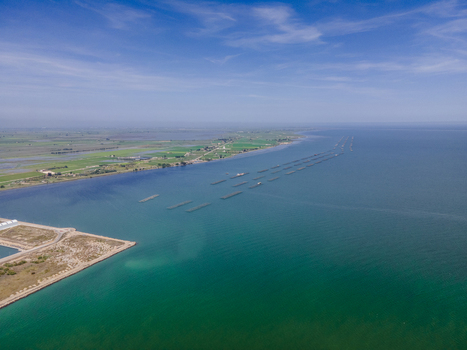Aerial view of Ebro Delta with mussel farming rafts in the turquoise sea under a blue sky in Catalonia Spain. Aerial view of Ebro Delta with mussel farming rafts in the turquoise sea under a blue sky in Catalonia Spain.
