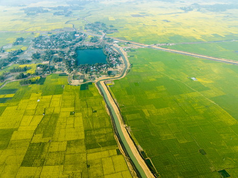 Aerial view of golden fields meet a tranquil village pond divided by a thin waterway a vibrant tapestry of rural life Sirajganj Rajshahi Division Bangladesh. Aerial view of golden fields meet a tranquil village pond divided by a thin waterway a vibrant tapestry of rural life Sirajganj Rajshahi Division Bangladesh.