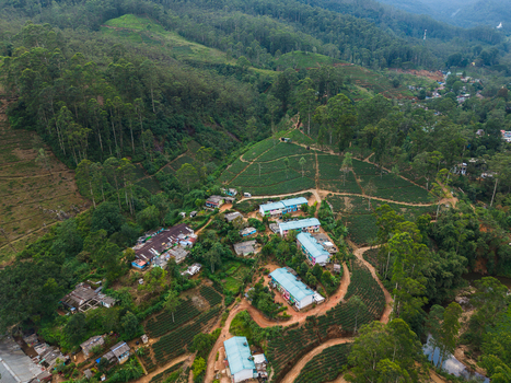 Aerial view of a small settlement nestled among lush tea plantations and dense tropical forests on rolling hills Nallathanniya Central Province Sri Lanka. Aerial view of a small settlement nestled among lush tea plantations and dense tropical forests on rolling hills Nallathanniya Central Province Sri Lanka.