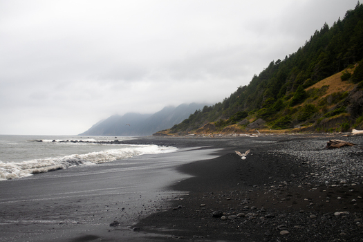 View of the black sand beach of the Lost Coast with waves crashing on the shore and forested hills under a cloudy sky in Humboldt County California United States.