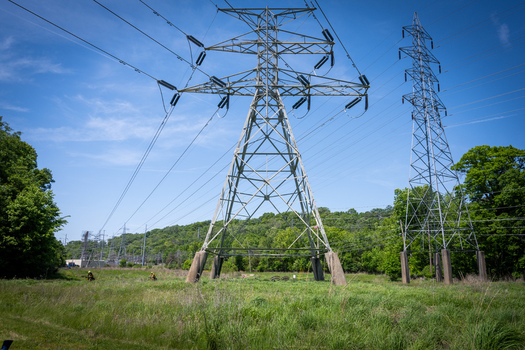 View of high voltage power lines and electricity pylons at Greentree Park with workers in safety gear standing in a grassy field near trees in Kirkwood Missouri United States. View of high voltage power lines and electricity pylons at Greentree Park with workers in safety gear standing in a grassy field near trees in Kirkwood Missouri United States.