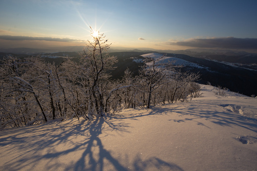 View of snow covered trees casting long shadows across a pristine white landscape under a bright sunlit sky in Nizke Tatry Banska Bystrica region Slovakia. View of snow covered trees casting long shadows across a pristine white landscape under a bright sunlit sky in Nizke Tatry Banska Bystrica region Slovakia.
