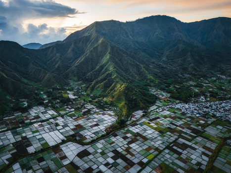 Aerial view of the agricultural basin of Sembalun with patchwork rice fields at the foothills of Mount Rinjani under a dramatic sunset sky in Sembalun West Nusa Tenggara Indonesia. Aerial view of the agricultural basin of Sembalun with patchwork rice fields at the foothills of Mount Rinjani under a dramatic sunset sky in Sembalun West Nusa Tenggara Indonesia.