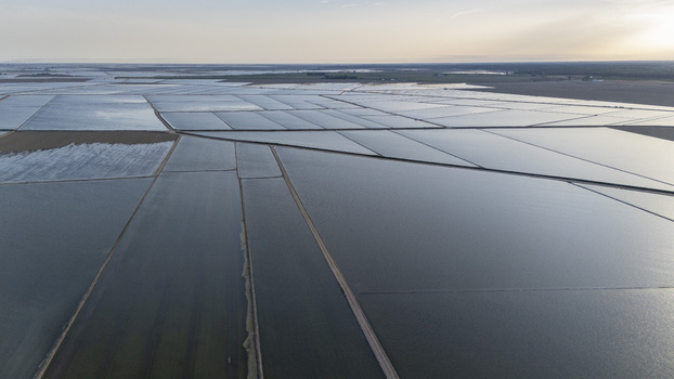 Aerial view of flooded rice fields at Isla Minima with geometric patterns and water reflections under a soft sky in Sevilla Andalucia Spain. Aerial view of flooded rice fields at Isla Minima with geometric patterns and water reflections under a soft sky in Sevilla Andalucia Spain.