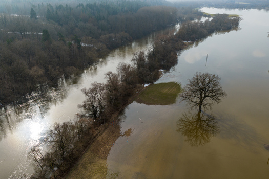 Aerial view of the flooded Nemunas river valley with submerged trees and a dense forest under a soft overcast light in Kaniukai Kaunas County Lithuania. Aerial view of the flooded Nemunas river valley with submerged trees and a dense forest under a soft overcast light in Kaniukai Kaunas County Lithuania.