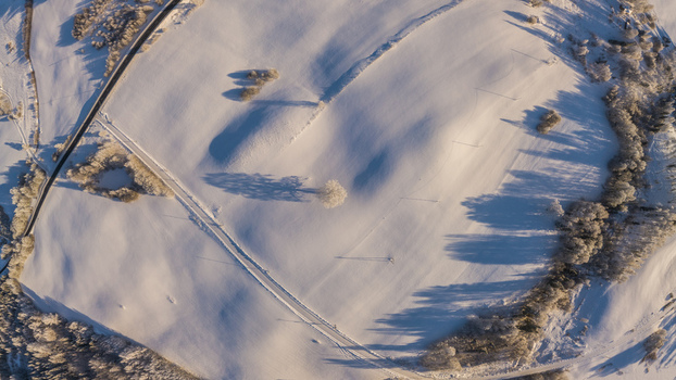 Aerial view of a snow covered landscape with a solitary tree casting a long shadow a winding road and frost covered trees in Latvia. Aerial view of a snow covered landscape with a solitary tree casting a long shadow a winding road and frost covered trees in Latvia.