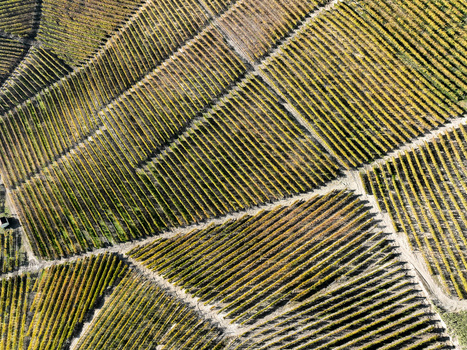 Aerial view of Barolo Cannubi Hill with geometric patterns of vineyard rows and autumn foliage Barolo Piedmont Italy. Aerial view of Barolo Cannubi Hill with geometric patterns of vineyard rows and autumn foliage Barolo Piedmont Italy.