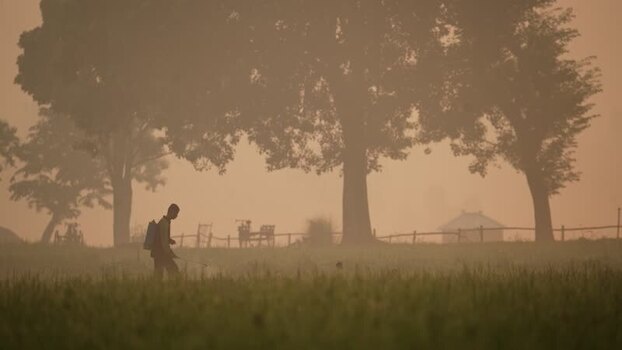 View of a farmer spraying crops in a misty field Bangladesh.