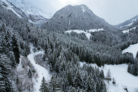 Aerial view of Grand Paradis in Swiss mountain and dense snow covered pine forests under an overcast winter sky in Champery Valais Switzerland. Aerial view of Grand Paradis in Swiss mountain and dense snow covered pine forests under an overcast winter sky in Champery Valais Switzerland.