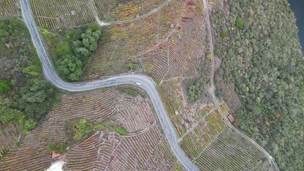 Aerial view of winding road through vineyards Spain. Aerial view of winding road through vineyards Spain.