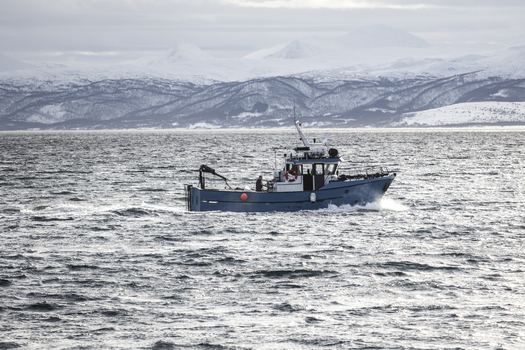 View of a blue fishing boat navigating choppy waters with a fisherman on deck against a backdrop of snow capped mountains in Tromso Troms Norway.