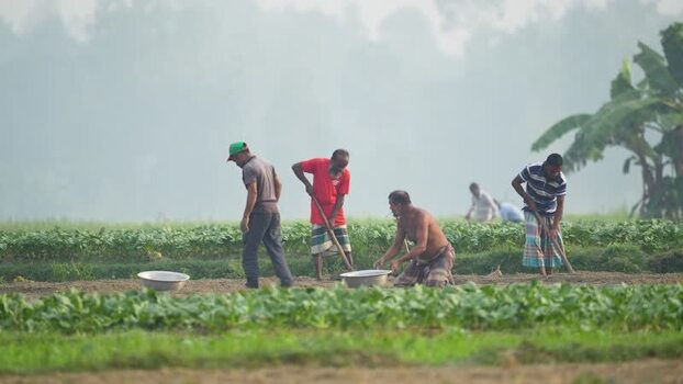 View of farmers working in a field in Bogura Bangladesh.