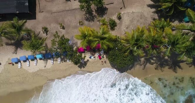 Aerial view of Cepe beach with palm trees and waves Venezuela.