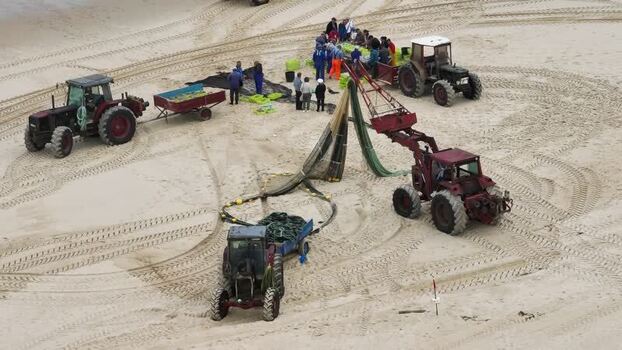Aerial view of tractors and fishermen at Praia de Mira Portugal.