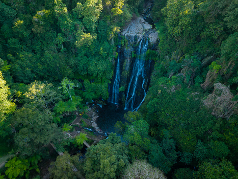 Aerial view of Banyumala Waterfall cascading into a dark pool surrounded by dense tropical rainforest and lush green vegetation in Sukasada Bali Indonesia.
