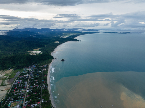 Aerial view of Alimanguan Beach with its long sandy shoreline coastal village and lush green hills under an overcast sky in San Vicente Mimaropa Philippines.