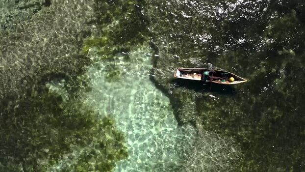 Aerial view of boat sailing on water Mozambique.