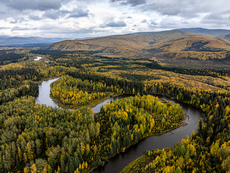 Aerial view of the winding Chena River flowing through a dense forest with autumn foliage under a cloudy sky in Chena Alaska United States. Aerial view of the winding Chena River flowing through a dense forest with autumn foliage under a cloudy sky in Chena Alaska United States.