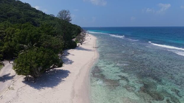 Aerial view of Anse Reunion beach in La Digue Seychelles.