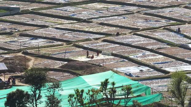 View of people working in agricultural drying fields Nepal.