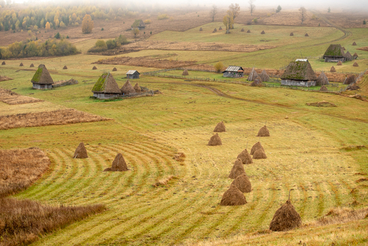 View of traditional wooden houses with thatched roofs and haystacks scattered across a rolling rural landscape in the misty countryside of Alba Iulia Alba County Romania. View of traditional wooden houses with thatched roofs and haystacks scattered across a rolling rural landscape in the misty countryside of Alba Iulia Alba County Romania.