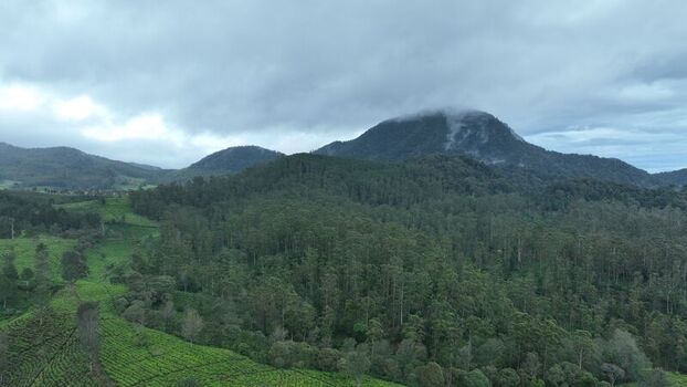 Aerial view of the lush green tea plantations and dense forests covering the mountainous landscape of Pangalengan West Java Indonesia. Aerial view of the lush green tea plantations and dense forests covering the mountainous landscape of Pangalengan West Java Indonesia.