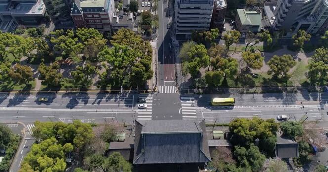 Aerial view of Zojoji Temple gate in Tokyo Japan.