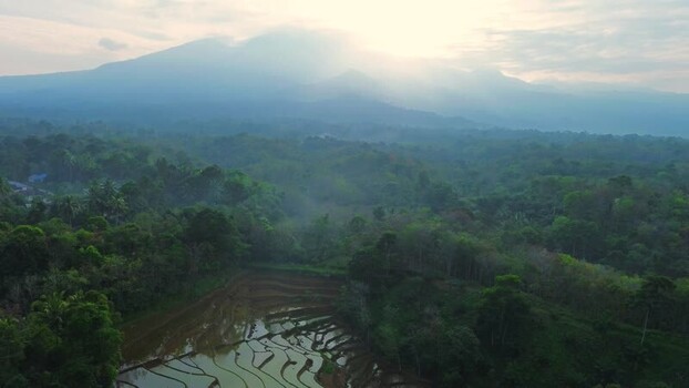 Aerial view of Dieng rice terraces in Kejajar Indonesia.